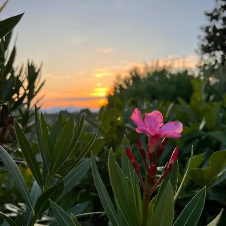 Casa Jeyel Apartman *