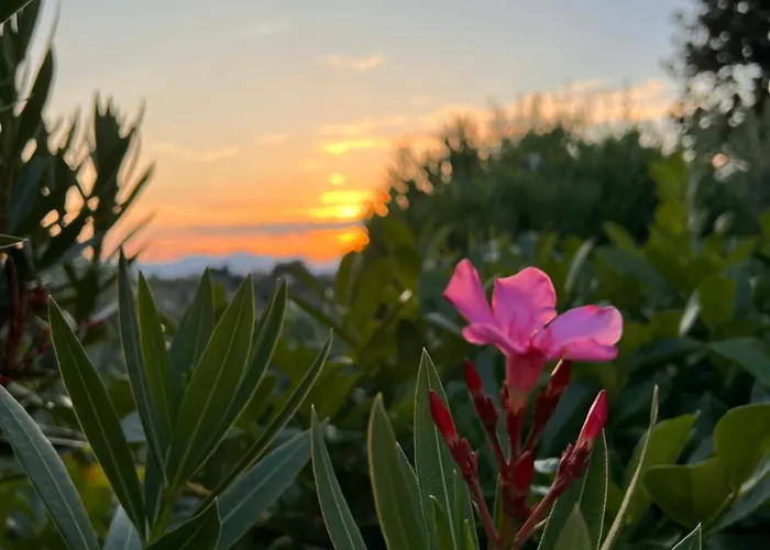 Casa Jeyel Apartament *